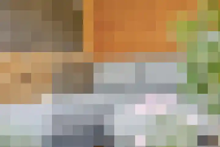 Gardiaanhof 5 Rilland thumbnail 34