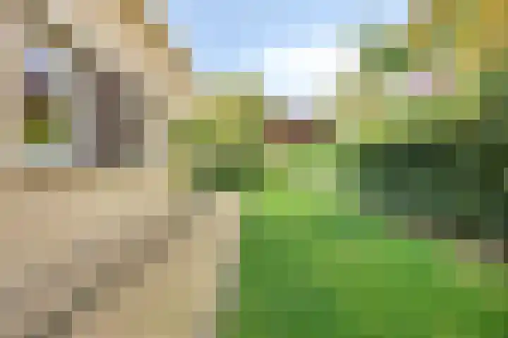 Gardiaanhof 5 Rilland thumbnail 35