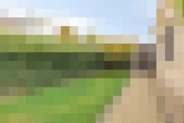 Gardiaanhof 5 Rilland thumbnail 36