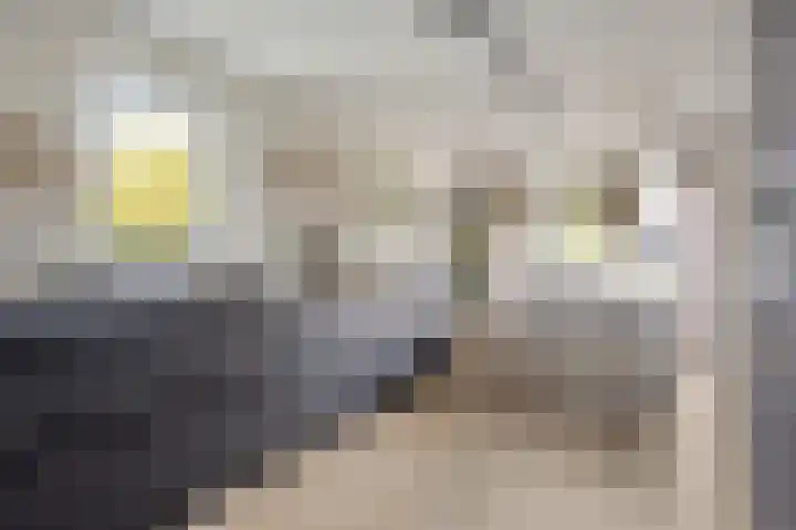 Gardiaanhof 5 Rilland thumbnail 4