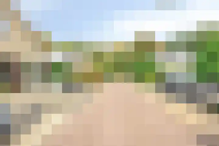 Gardiaanhof 5 Rilland thumbnail 41