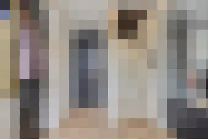 Gardiaanhof 5 Rilland thumbnail 6