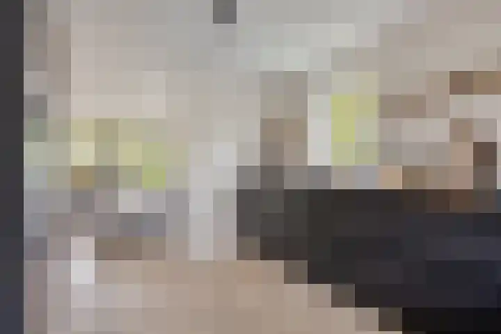 Gardiaanhof 5 Rilland thumbnail 8