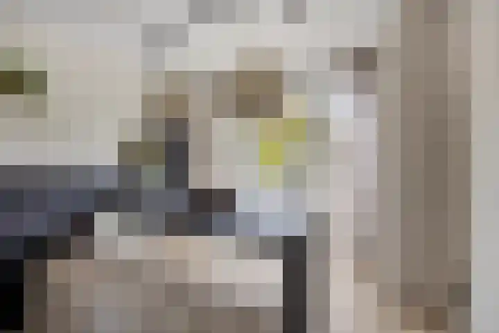 Gardiaanhof 5 Rilland thumbnail 9