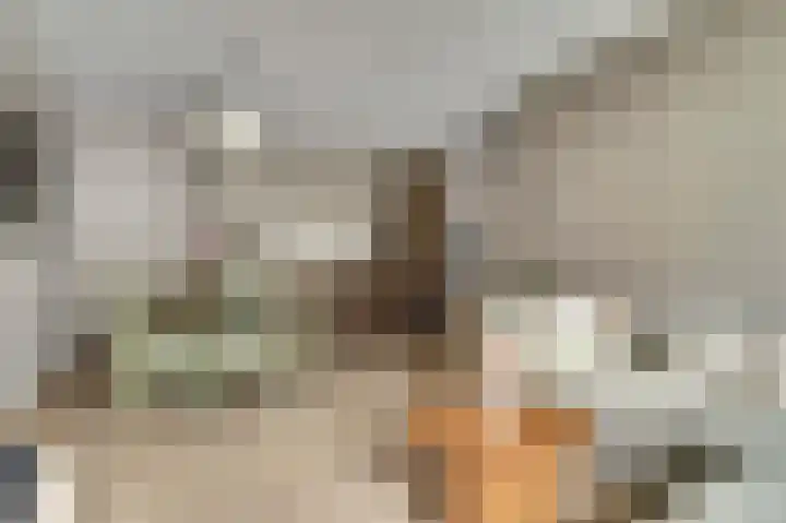 Gardiaanhof 52 Tilburg thumbnail 11