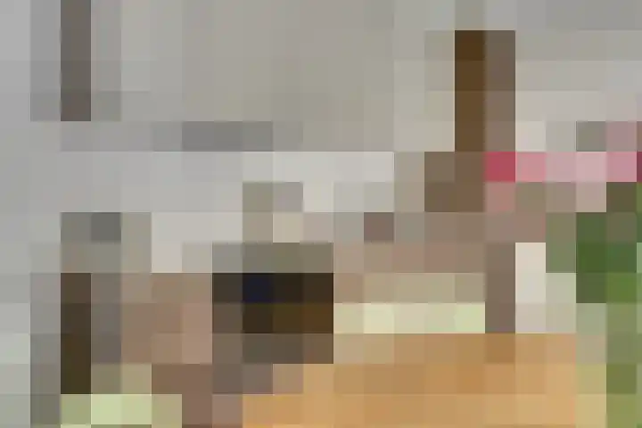 Gardiaanhof 52 Tilburg thumbnail 14