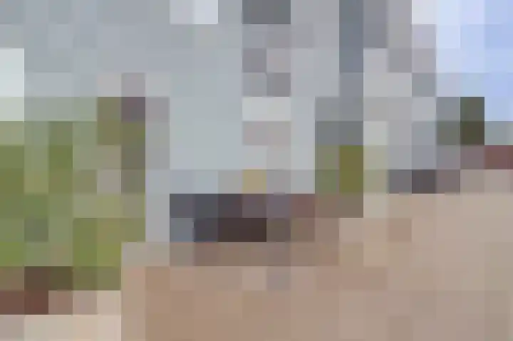 Gardiaanhof 52 Tilburg thumbnail 23