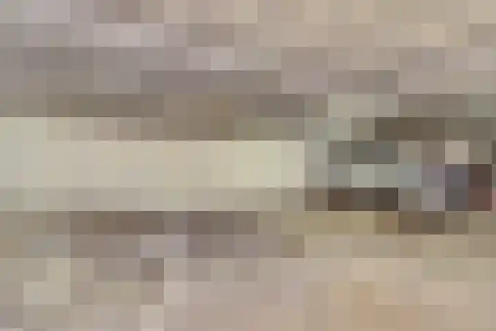 Gardiaanhof 52 Tilburg thumbnail 5