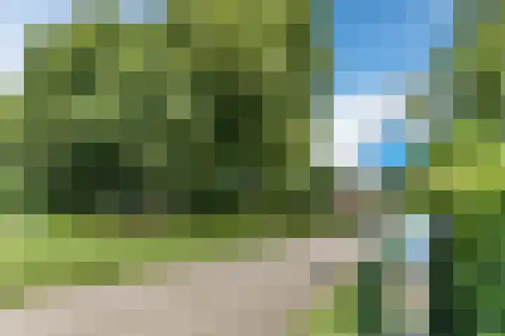 Gardiaanhof 55 Tilburg thumbnail 32