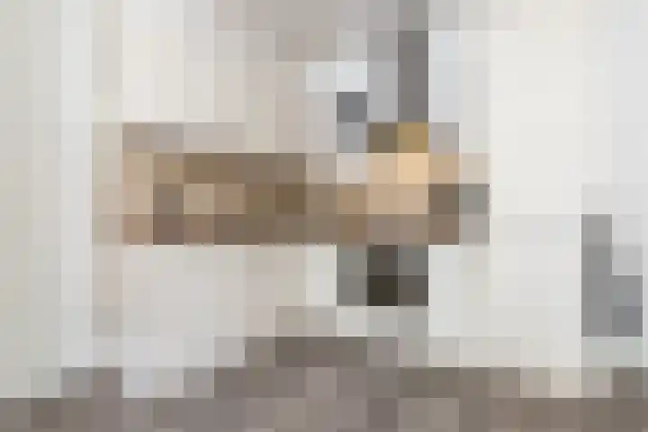 Gardiaanhof 55 Tilburg thumbnail 5