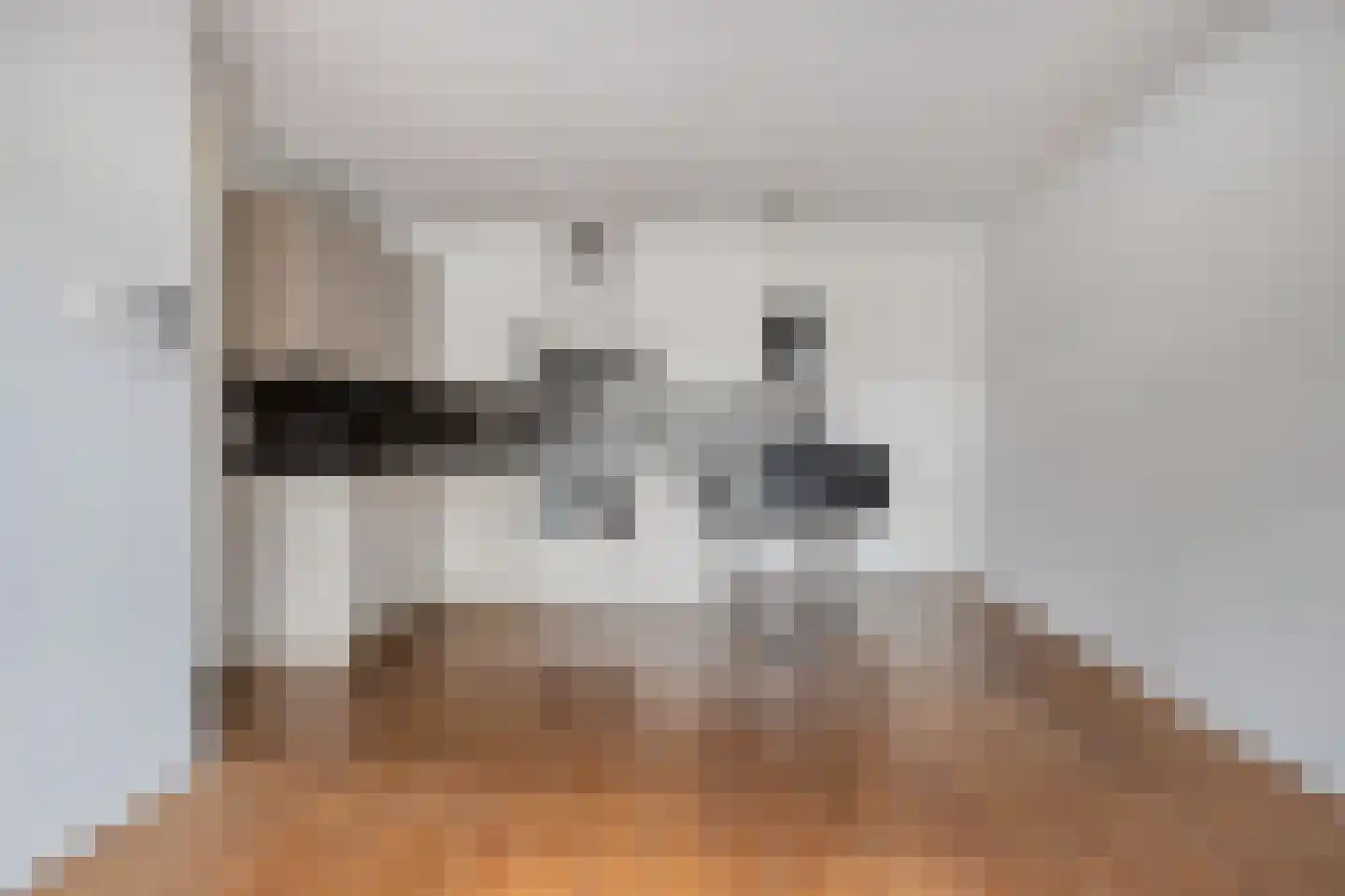 Gardiaanhof 57 Tilburg thumbnail 4
