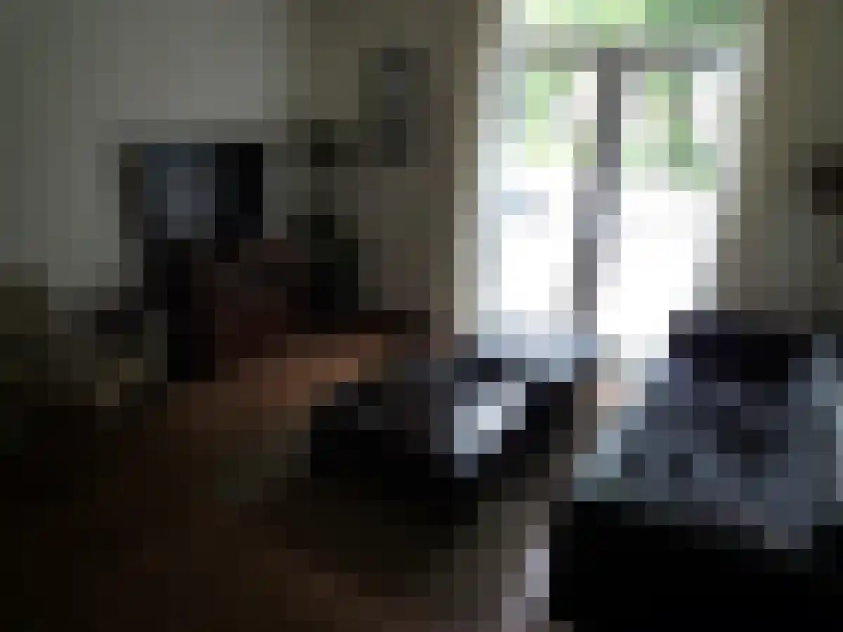 Gardiaanhof 57 Tilburg thumbnail 4