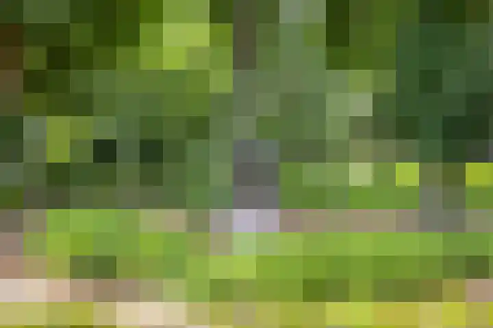 Gardiaanhof 76 Tilburg thumbnail 27