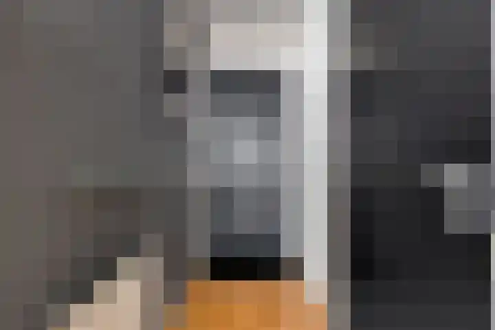 Gardiaanhof 76 Tilburg thumbnail 5