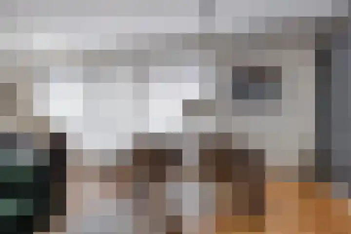 Gardiaanhof 76 Tilburg thumbnail 7