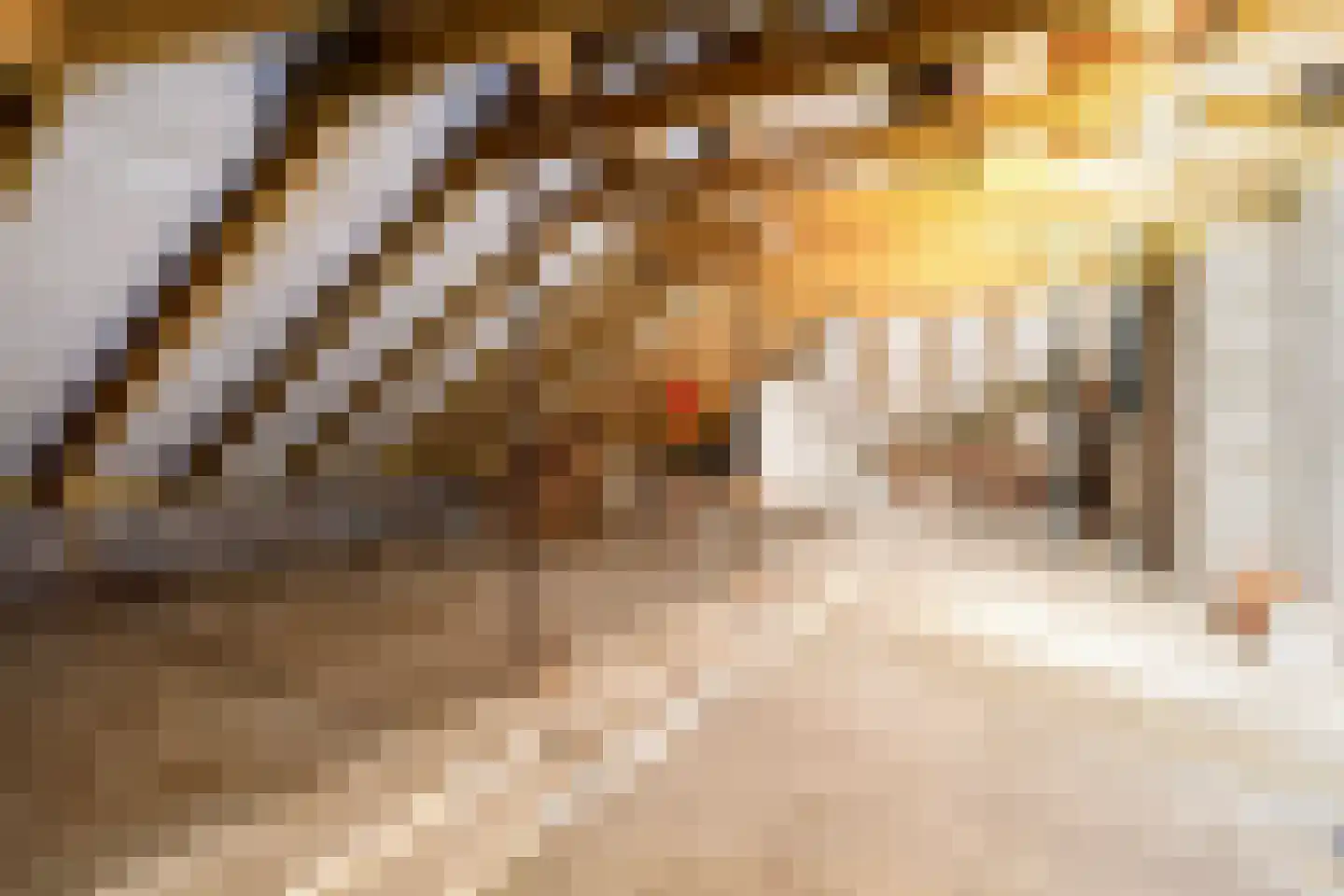 Gare du Nord 5 Amsterdam thumbnail 35