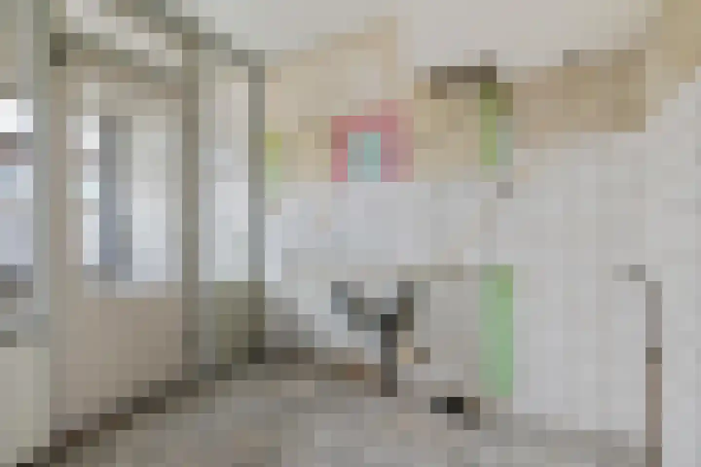 Gareel 12 Barger-Compascuum thumbnail 7