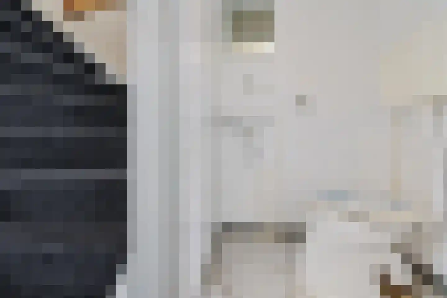 Gareel 12 Barger-Compascuum thumbnail 9