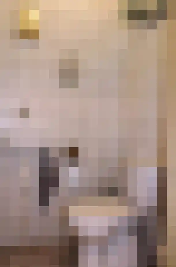 Gareel 13 Barger-Compascuum thumbnail 10