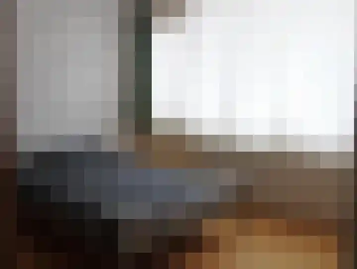 Gareel 13 Barger-Compascuum thumbnail 15