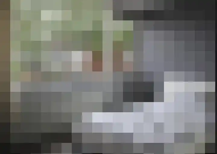 Gareel 13 Barger-Compascuum thumbnail 16