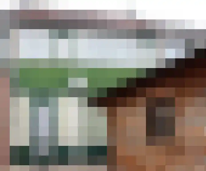 Gareel 13 Barger-Compascuum thumbnail 17