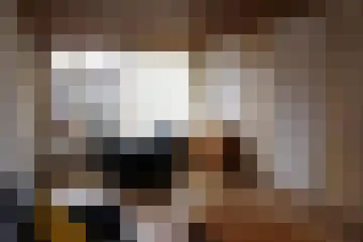 Gareel 13 Barger-Compascuum thumbnail 5