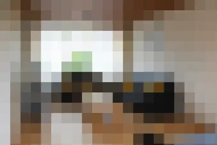 Gareel 13 Barger-Compascuum thumbnail 6