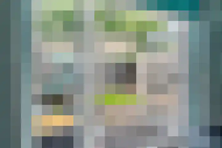 Gareel 19 Barger-Compascuum thumbnail 10