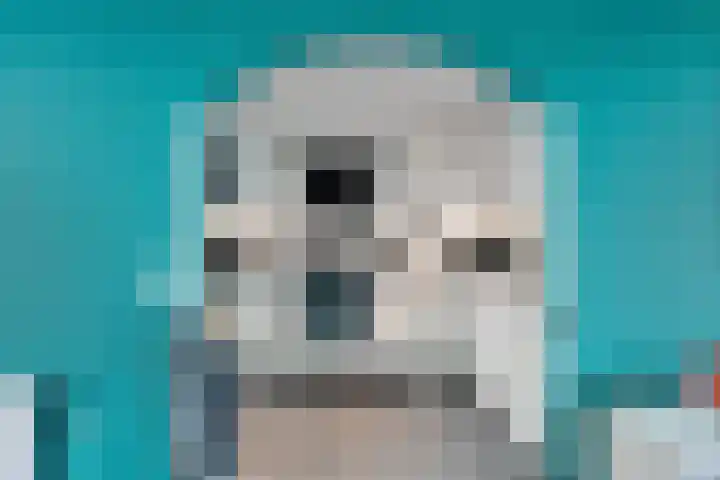 Gareel 19 Barger-Compascuum thumbnail 11