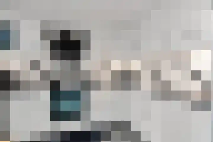 Gareel 19 Barger-Compascuum thumbnail 12