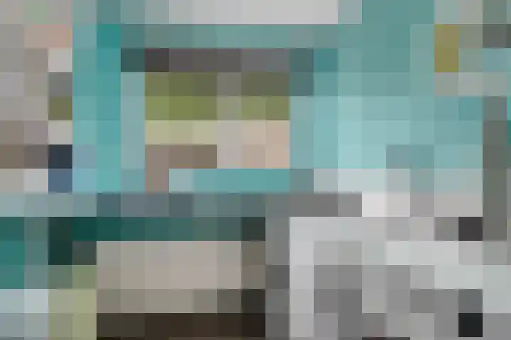Gareel 19 Barger-Compascuum thumbnail 15