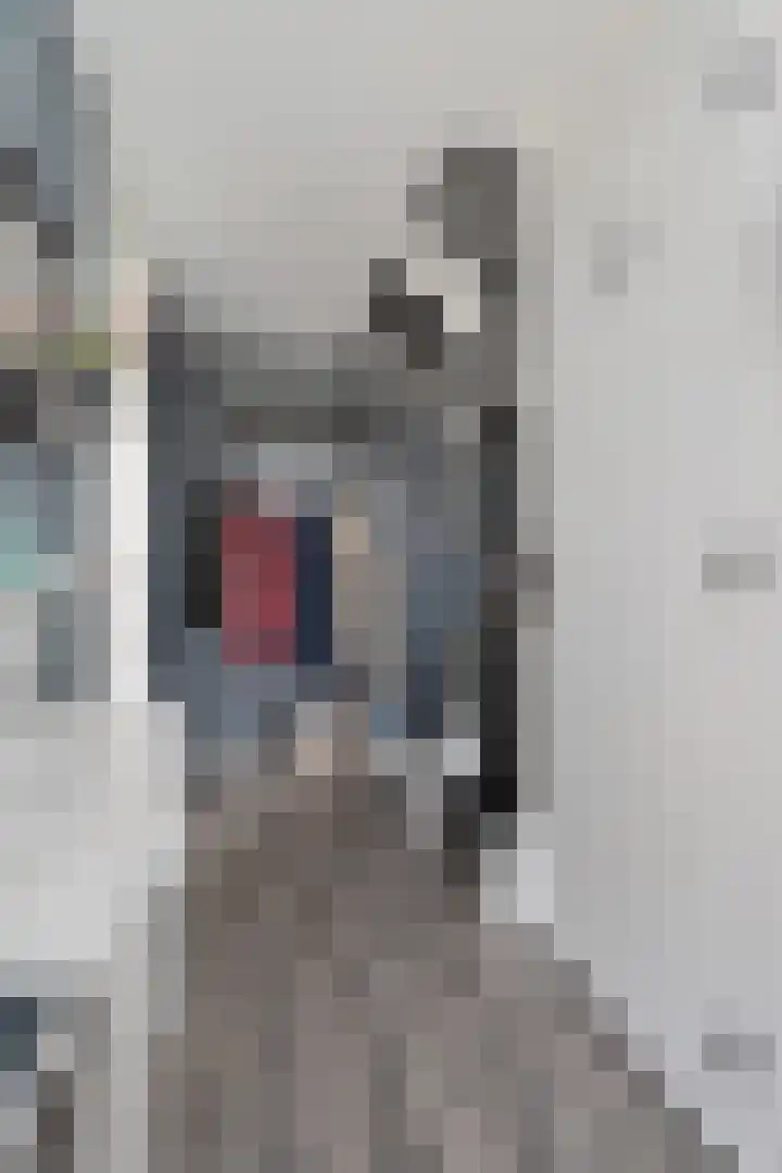 Gareel 19 Barger-Compascuum thumbnail 17