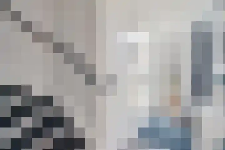 Gareel 19 Barger-Compascuum thumbnail 18