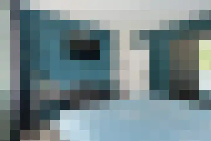 Gareel 19 Barger-Compascuum thumbnail 20