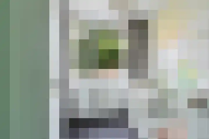 Gareel 19 Barger-Compascuum thumbnail 23