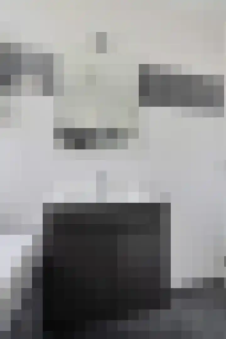 Gareel 19 Barger-Compascuum thumbnail 27