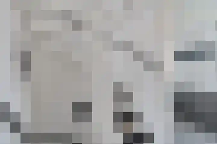 Gareel 19 Barger-Compascuum thumbnail 28
