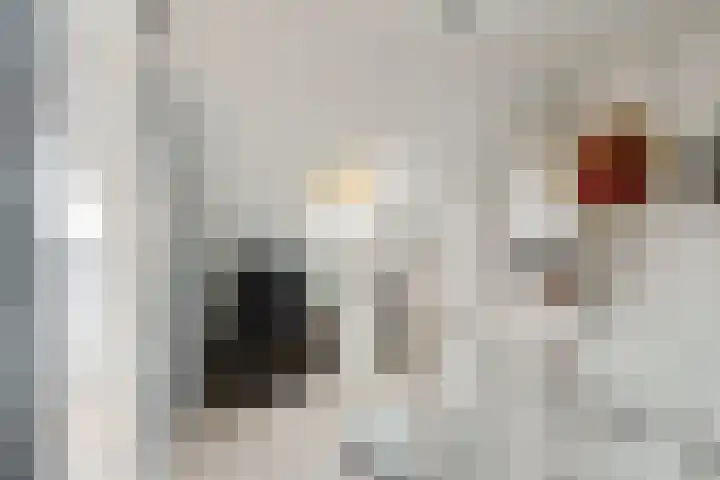 Gareel 19 Barger-Compascuum thumbnail 29