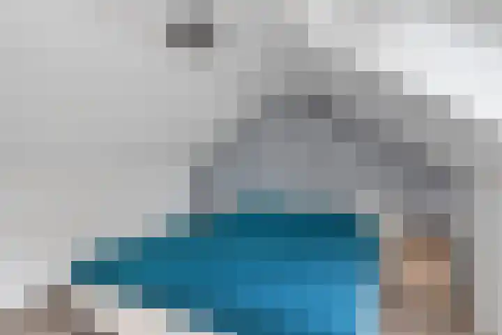 Gareel 19 Barger-Compascuum thumbnail 30
