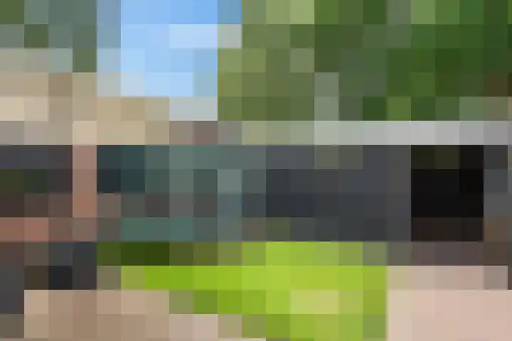 Gareel 19 Barger-Compascuum thumbnail 32