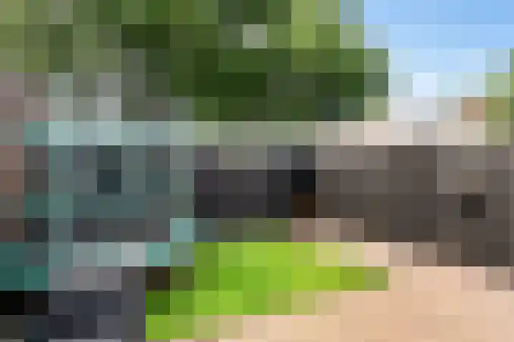 Gareel 19 Barger-Compascuum thumbnail 33