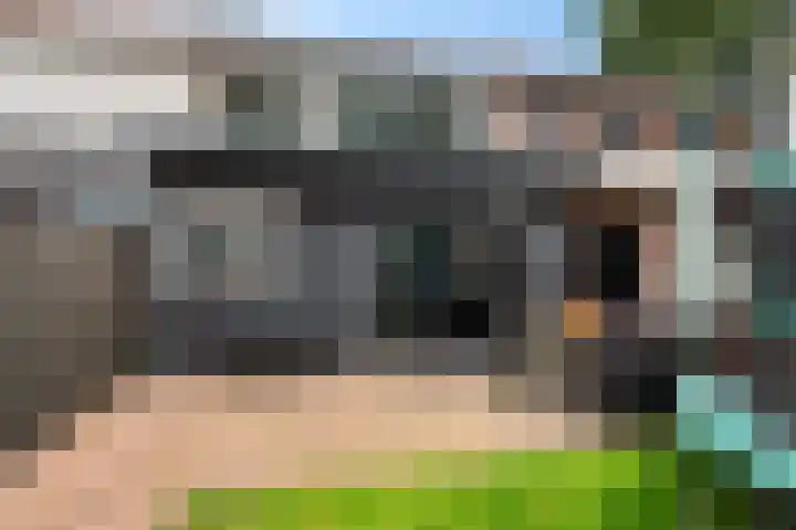 Gareel 19 Barger-Compascuum thumbnail 35