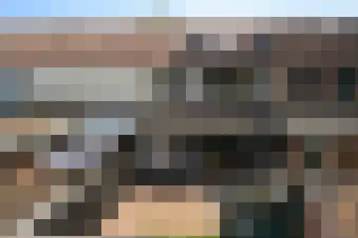 Gareel 19 Barger-Compascuum thumbnail 36