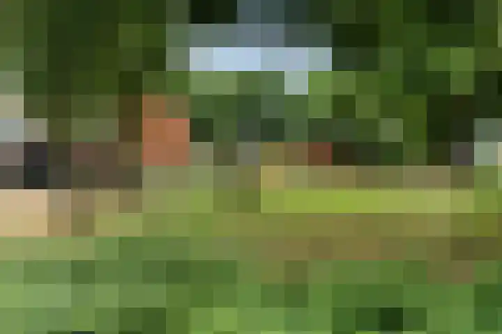 Gareel 19 Barger-Compascuum thumbnail 37