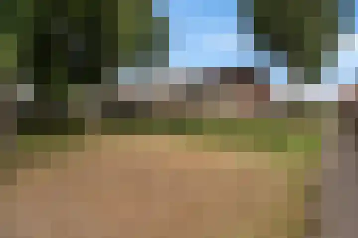 Gareel 19 Barger-Compascuum thumbnail 38