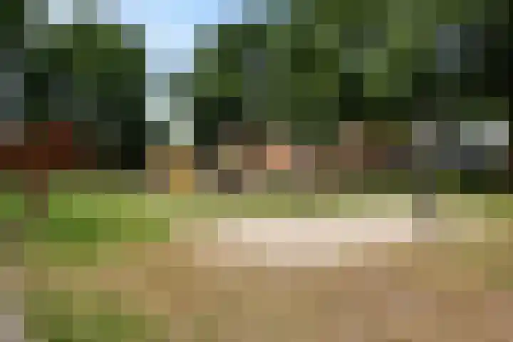 Gareel 19 Barger-Compascuum thumbnail 39
