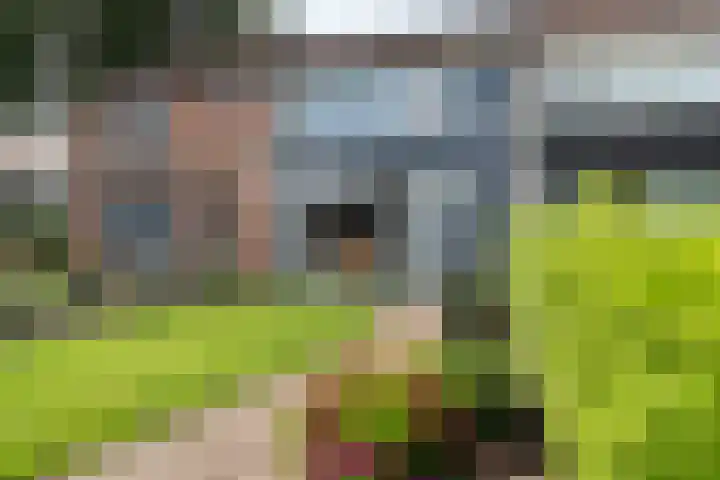 Gareel 19 Barger-Compascuum thumbnail 4