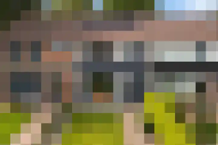 Gareel 19 Barger-Compascuum thumbnail 40