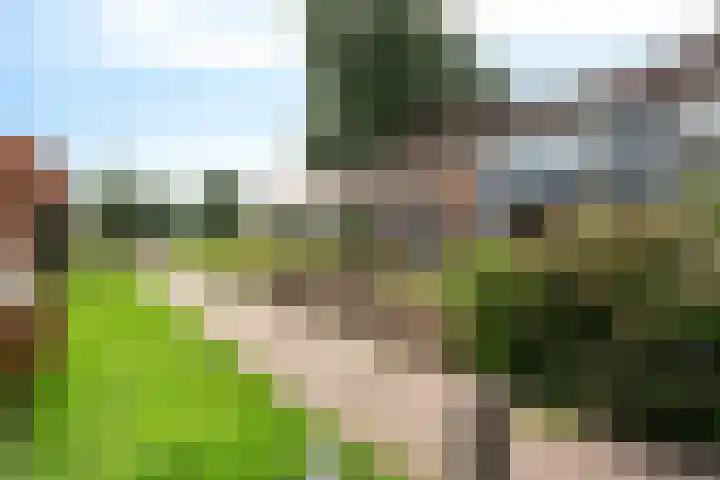 Gareel 19 Barger-Compascuum thumbnail 41